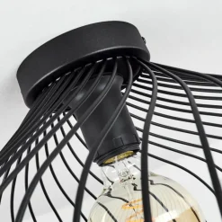 Lampes Industrielles-hofstein Plafonnier Rogsvolden Noir, 1 lumière