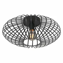 Luminaires Steinhauer Plafonnier Steinhauer Dunbar Noir, 1 lumière* Plafonniers