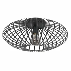 Luminaires Steinhauer Plafonnier Steinhauer Dunbar Noir, 1 lumière* Plafonniers