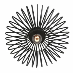 Luminaires Steinhauer Plafonnier Steinhauer Dunbar Noir, 1 lumière* Plafonniers