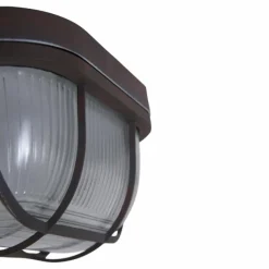 Luminaires Steinhauer Plafonnier Steinhauer Mexlite Brun, 1 lumière