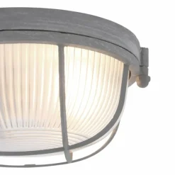 Luminaires Steinhauer Plafonnier Steinhauer Mexlite Gris, 1 lumière