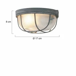 Luminaires Steinhauer Plafonnier Steinhauer Mexlite Gris, 1 lumière