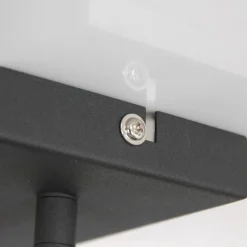 Lampes Dorées-Luminaires Steinhauer Plafonnier Steinhauer Nové Or, Noir, 2 lumières