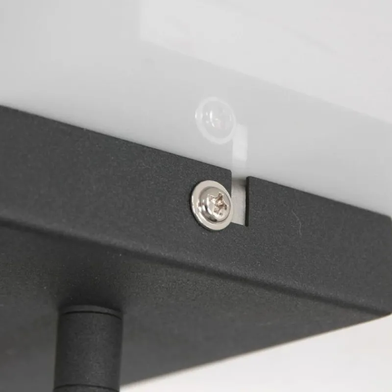 Lampes Dorées-Luminaires Steinhauer Plafonnier Steinhauer Nové Or, Noir, 2 lumières