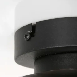 Suspension Verre Fumé-Luminaires Steinhauer Plafonnier Steinhauer Reflexion Noir, 1 lumière