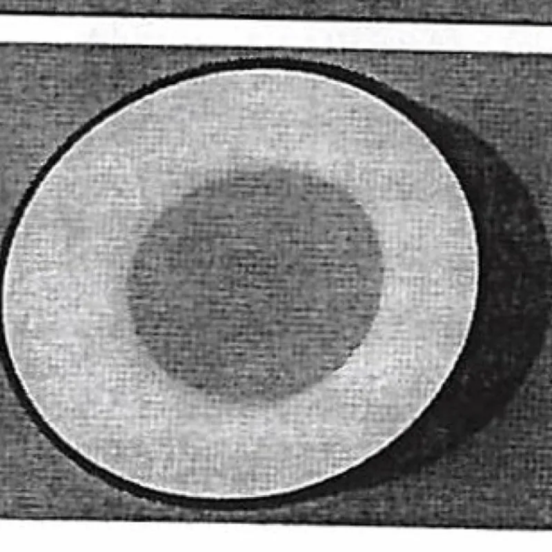 Luminaires Steinhauer Plafonnier Steinhauer Ringlede Blanc, 1 lumière* Éclairage Led