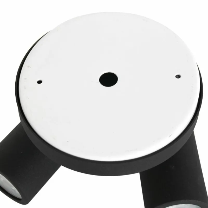 Luminaires Steinhauer Plafonnier Steinhauer Upround LED Noir, 2 lumières* Éclairage Led