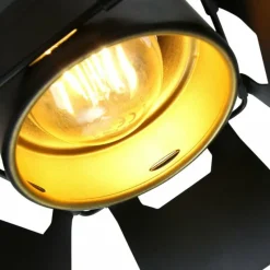 Lampes Industrielles-Luminaires Steinhauer Plafonnier Steinhauer Woschnik Noir, 1 lumière