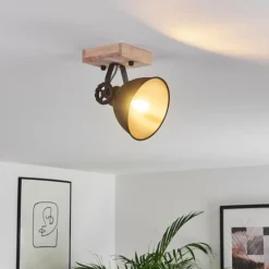 Lampes Industrielles-hofstein Plafonnier Svanfolk Brun, Noir, 1 lumière