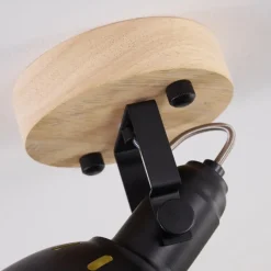 Lampes Dorées-hofstein Plafonnier Tina Bois foncé, Noir, 1 lumière