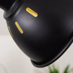 Lampes Dorées-hofstein Plafonnier Tina Bois foncé, Noir, 1 lumière