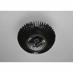 Luminaires Trio Plafonnier Trio Colino Noir, 2 lumières