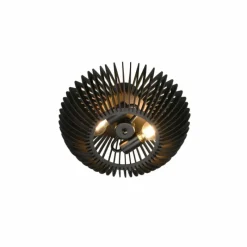 Luminaires Trio Plafonnier Trio Colino Noir, 2 lumières