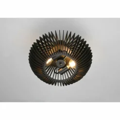 Luminaires Trio Plafonnier Trio Colino Noir, 2 lumières