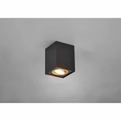 Lampes Dorées-Luminaires Trio Plafonnier Trio Cookie Or, Noir, 1 lumière