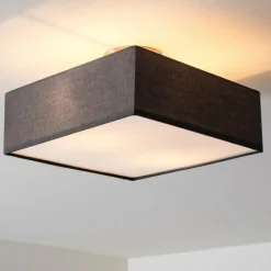 Lampes En Tissu-hofstein Plafonnier Trio Embassy Nickel mat, 2 lumières