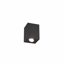 Luminaires Trio Plafonnier Trio Leuchten BISCUIT Noir, 1 lumière* Plafonniers