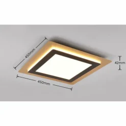 Lampes Dorées-Luminaires Trio Plafonnier Trio MORGAN LED Or, Noir, 1 lumière, Télécommandes