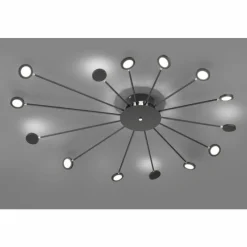 Luminaires Trio Plafonnier Trio Peacock LED Noir, 15 lumières* Éclairage Led