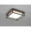 Luminaires Trio Plafonnier Trio Witham LED Anthracite, 1 lumière