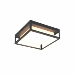Luminaires Trio Plafonnier Trio Witham LED Anthracite, 1 lumière