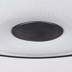 hofstein Plafonnier Vully LED Noir, 1 lumière, Télécommandes, Changeur de couleurs