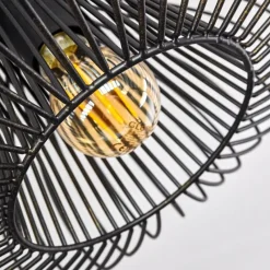 Lampes Dorées-hofstein Plafonnier Wemude Noir doré, 1 lumière