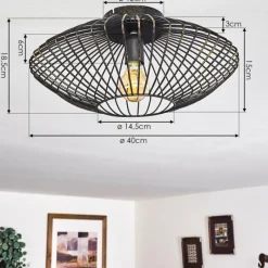 Lampes Dorées-hofstein Plafonnier Wemude Noir doré, 1 lumière