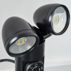 hofstein Plingshult Luminaire extérieur, Pieu, Eclairage de chemin LED Noir, 2 lumières