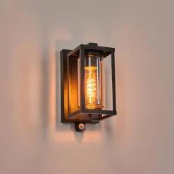 hofstein Portalis Lampe murale d´extérieur Noir, 1 lumière, Détecteur de mouvement