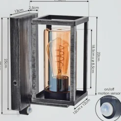 hofstein Portalis Lampe murale d´extérieur Noir, Argenté, 1 lumière, Détecteur de mouvement