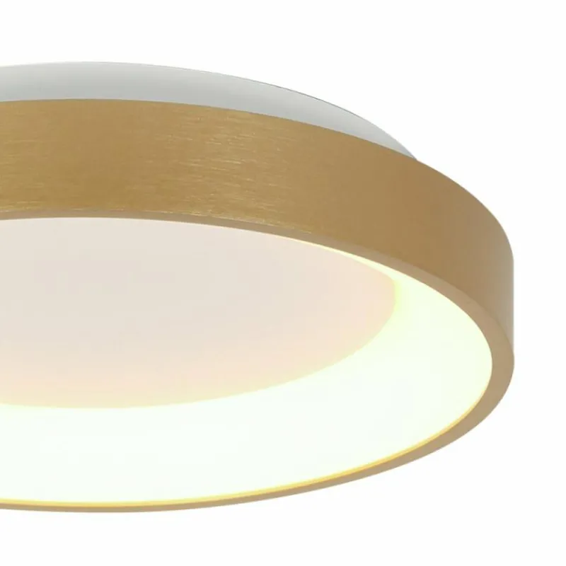 Lampes Dorées-Luminaires Steinhauer Ringlede Plafonnier LED Or, 1 lumière