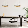Luminaires Steinhauer Ringlux Suspension LED Noir, 1 lumière* Suspensions