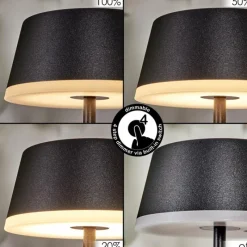 hofstein Romdrup Lampe de table d'extérieur, Lampe à poser LED Noir, 1 lumière