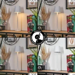 hofstein Salgadinho Lampe à poser LED Blanc, 1 lumière