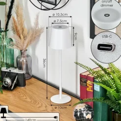 hofstein Salgadinho Lampe à poser LED Blanc, 1 lumière