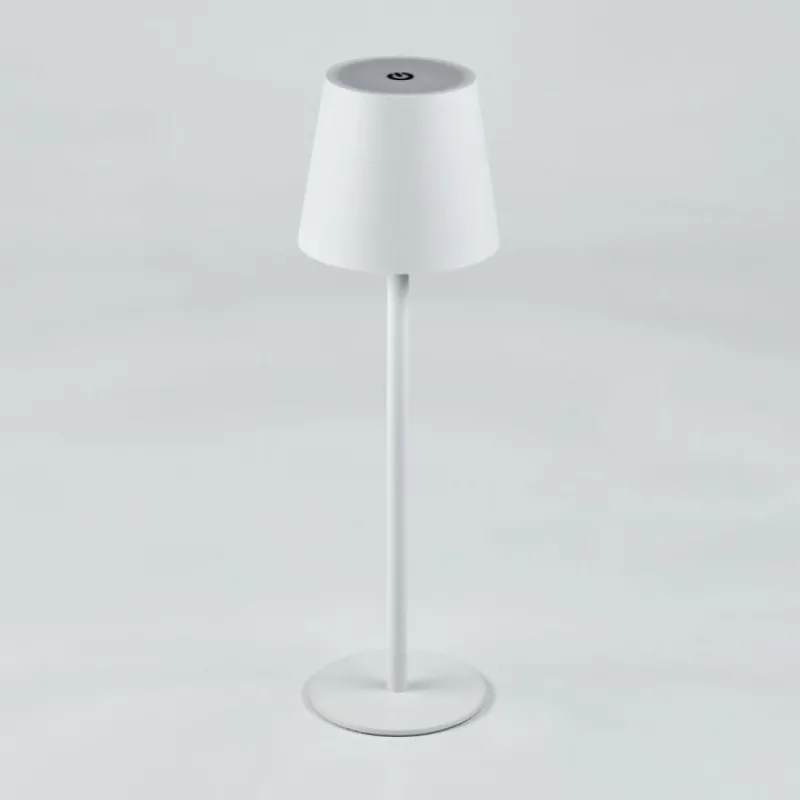 hofstein Salgadinho Lampe à poser LED Blanc, 1 lumière