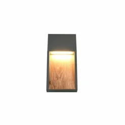Lampes En Bois-Luminaires Trio SALMON Applique murale LED Bois clair, 1 lumière