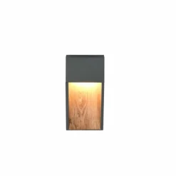 Lampes En Bois-Luminaires Trio SALMON Applique murale LED Bois clair, 1 lumière