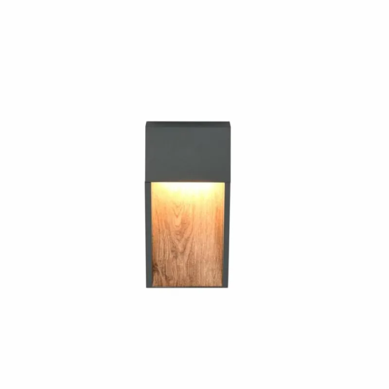 Lampes En Bois-Luminaires Trio SALMON Applique murale LED Bois clair, 1 lumière