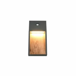 Lampes En Bois-Luminaires Trio SALMON Applique murale LED Bois clair, 1 lumière, Détecteur de mouvement