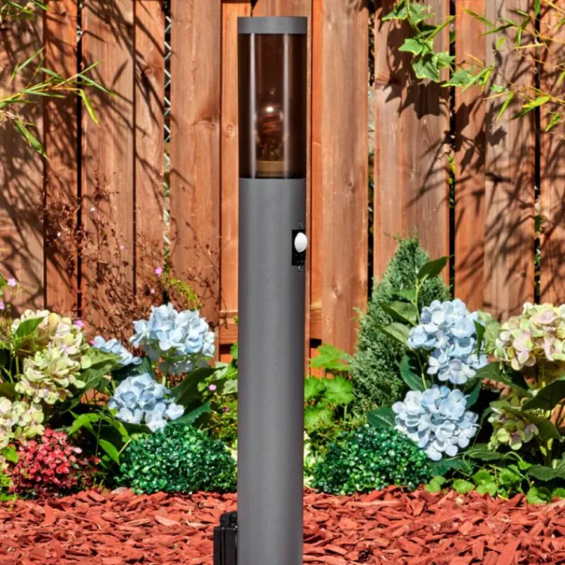 Suspension Verre Fumé-hofstein Sessa Lampe à prise électrique, Eclairage de chemin Anthracite, 1 lumière, Détecteur de mouvement