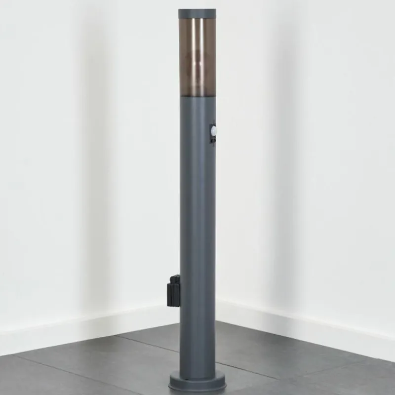 Suspension Verre Fumé-hofstein Sessa Lampe à prise électrique, Eclairage de chemin Anthracite, 1 lumière, Détecteur de mouvement