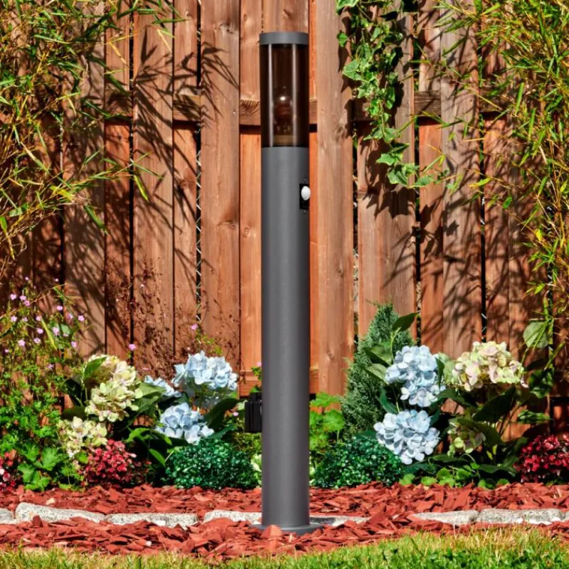 Suspension Verre Fumé-hofstein Sessa Lampe à prise électrique, Eclairage de chemin Anthracite, 1 lumière, Détecteur de mouvement