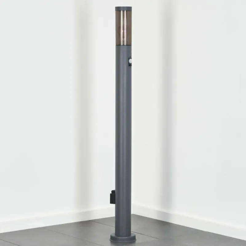 hofstein Sessa Lampe à prise électrique, Eclairage de chemin Anthracite, 1 lumière, Détecteur de mouvement