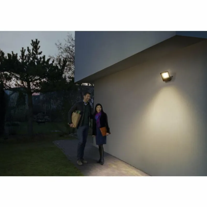 Luminaires Ledvance Spot de jardin LEDVANCE SMART+ Gris, 1 lumière, Changeur de couleurs
