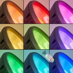 hofstein Spot de jardin Phniet LED Noir, 1 lumière, Télécommandes, Changeur de couleurs