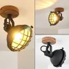 Lampes Industrielles-hofstein Spot de plafond Onsala Brun, Noir, 1 lumière