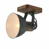 Luminaires Steinhauer Spot Steinhauer GEARWOOD Gris, 1 lumière